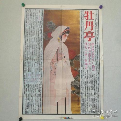日本清和大学本科offer